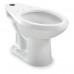 Toilet Bowl  Floor  Elongated  16-1/2 In H - B007QQVVW2